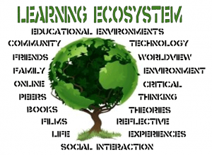 Steps To Creating Learning Ecosytem